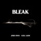 Bleak (feat. Axel Leon) - Josh DWH lyrics