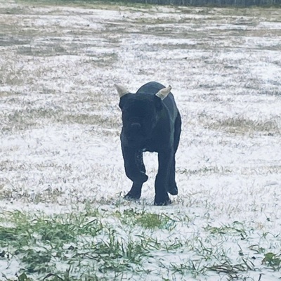 Promoting no Violence (feat. Kd2tiimes) - Single