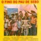 Picadinho - Raimundo lyrics