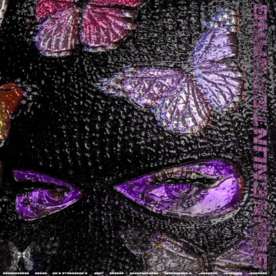 Sonnenuntergang - Single