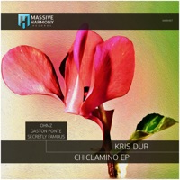 Chiclamino (Gaston Ponte Remix) - Single - Kris Dur