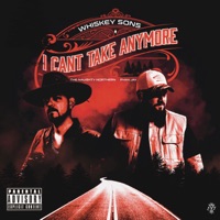 I Can't Take Anymore - Single - Whiskey Sons, The Naughty Northern & Ryan Jay