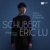 Schubert: Piano Sonatas D. 784 & 959
