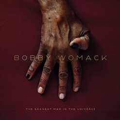THE BRAVEST MAN IN THE UNIVERSE cover art