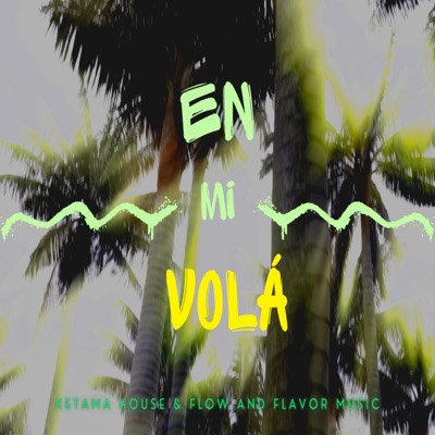 En Mi Volá - Single