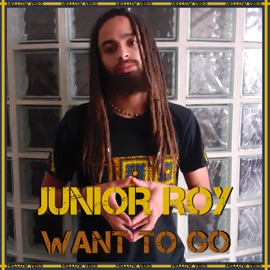 Want To Dub Junior Roy