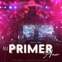 Mi Primer Amor - Single - La Nueva Divizzion