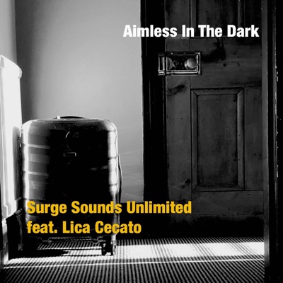 Aimless In The Dark (feat. Lica Cecato) - Single