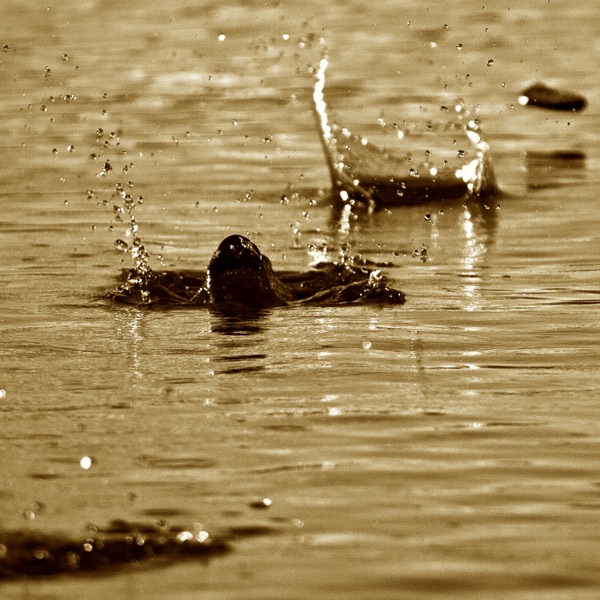 Skipping Stones II