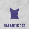 1X1