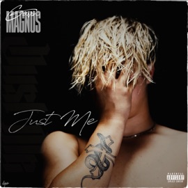 Just Me Gavin Magnus