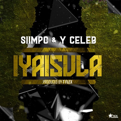 Iyaisula (feat. Y Celeb) - Single