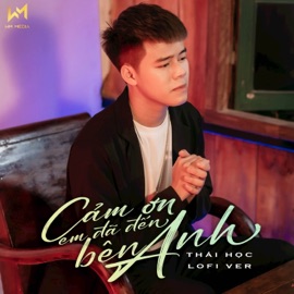 Cảm Ơn Em Đã Đến Bên Anh (Lofi Ver.) Thái Học & WM