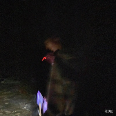 Dayz B4 Court - Single