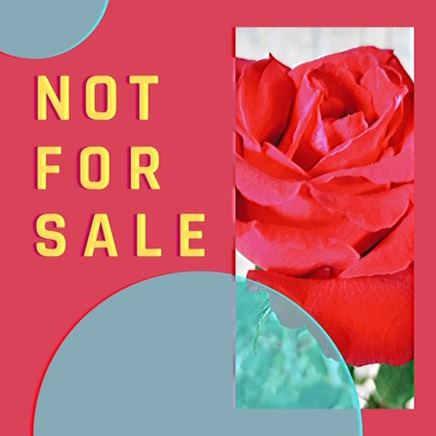 Not for Sale - Single