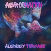 Aerosmith (Dfm MIX) artwork