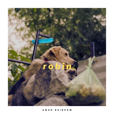 Robin - Single