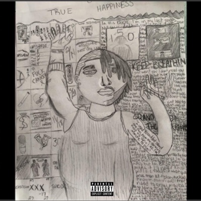 THE PURSUIT OF TRUE HAPPINESS