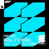 Maybe, It's Possible (Extended Mix) artwork