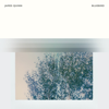 Bluebird - James Quinn