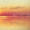 Wasted on You - Andy Shauf lyrics