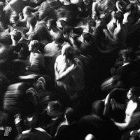 Moshpit - Single - In Phases