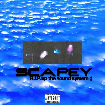 R.I.P. up the sound system - Single