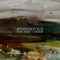 No Shortcuts - Heather Maloney & Darlingside lyrics