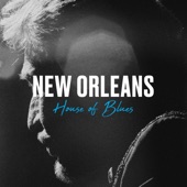 Live au House of Blues New Orleans, 2014 artwork