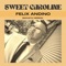 Sweet Caroline (Bachata Version) - Felix Andino lyrics