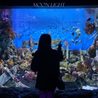 MOON LIGHT  (feat. UPVISH) [Sped Up] - Single - SDV SCARLET