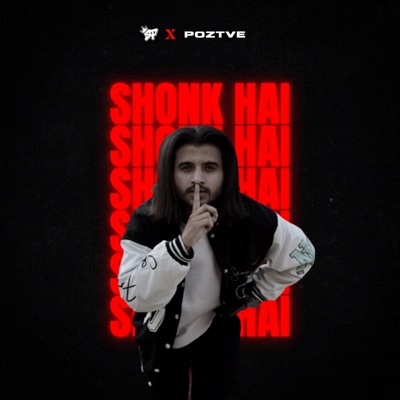 Shonk Hai (feat. POZTVE) - Single
