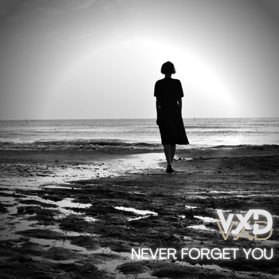 Never Forget You - Single
