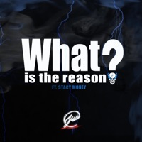 Whatisthereason? (feat. Stacy Money) - Single - Jusc