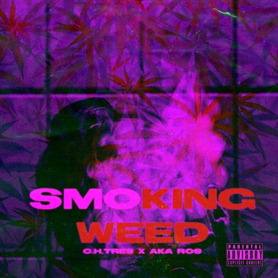 SMOKING WEED (feat. AKA ROS) [Radio Edit] - Single