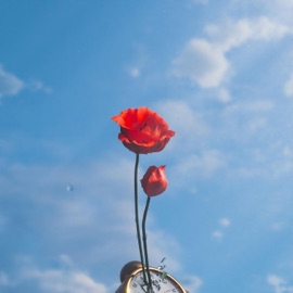 LET YOU GO (feat. Brooke) Jay-Rah