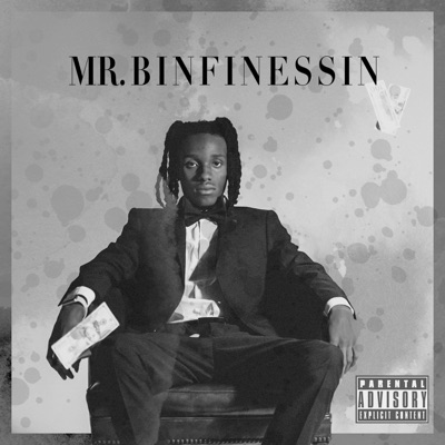 Mr.BinFinessin
