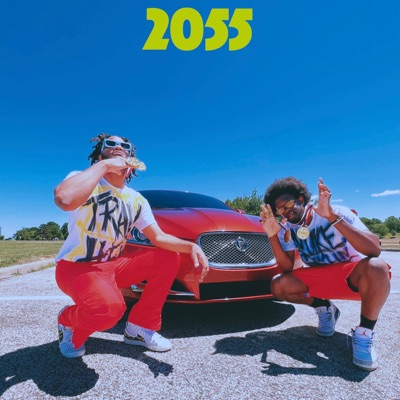 2055 (feat. Nuke Franklin) - Single