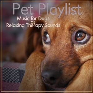 Pet Playlist, Music for Dogs as Relaxing Therapy Sounds