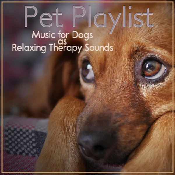 Pet Playlist, Music for Dogs as Relaxing Therapy Sounds