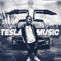 Tesla Music - Single - BaggFiles