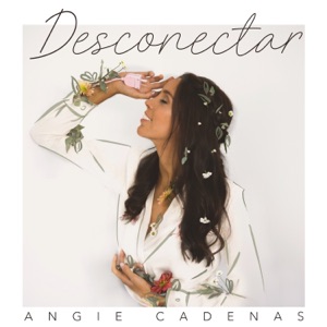 Desconectar - Single