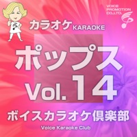 Voice Karaoke Club(Pops),Vol. 14