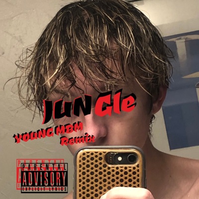 Jungle 2.0 - Single