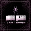 Viuda Negra (feat. Alejandra Alejo) - Single