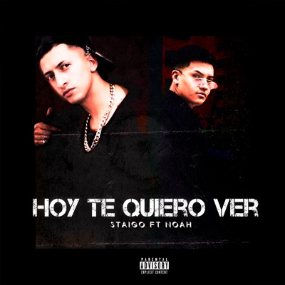 Hoy Te Quiero Ver - Single