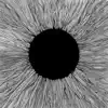 Inside Your Fur