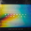 Somebody Like You (feat. Ane Flem)