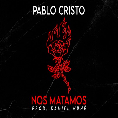 Nos Matamos - Single