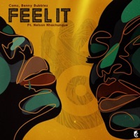 Feel It (feat. Nelson Nhachungue) - Single - Camz & Benny Bubblez